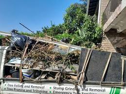 Best Office Cleanout  in Lineville, AL